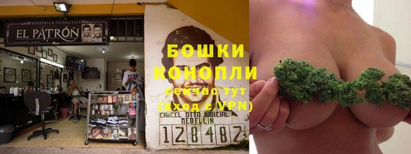 хмурый Балабаново