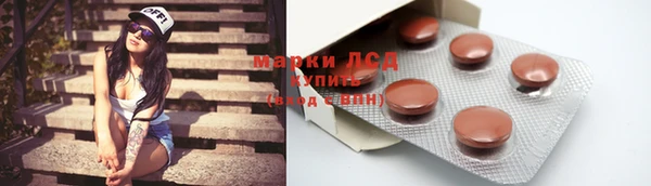 ПСИЛОЦИБИНОВЫЕ ГРИБЫ Баксан