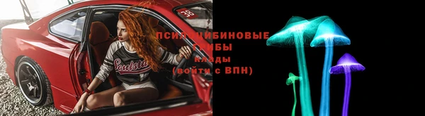 ПСИЛОЦИБИНОВЫЕ ГРИБЫ Баксан
