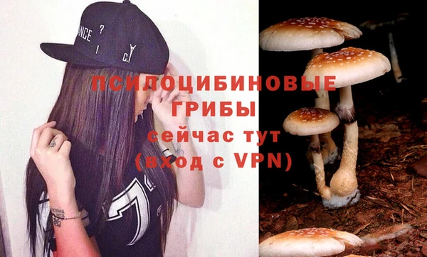 ПСИЛОЦИБИНОВЫЕ ГРИБЫ Балахна