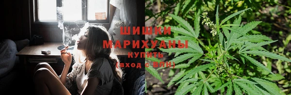 дистиллят марихуана Кодинск