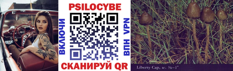 площадка официальный сайт  Обь  Галлюциногенные грибы Psilocybine cubensis 